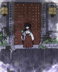 Rule 34 | 1girl, absurdres, black hair, blue eyes, closed mouth, commentary request, dress, flat chest, flower, full body, hair ribbon, hakurei reimu, highres, hitodama, japanese clothes, kaigen 1025, kimono, long dress, long hair, long sleeves, red dress, red ribbon, ribbon, solo, standing, touhou, translation request, white flower, white kimono