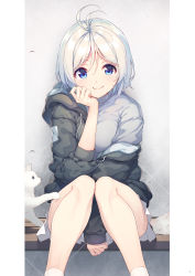 Rule 34 | .live, 1girl, ahoge, antenna hair, between legs, blue eyes, cat, english text, feet out of frame, grey background, grey sweater, hand between legs, head rest, highres, hood, hood down, hoodie, knees together feet apart, looking at viewer, nijihashi sora, off shoulder, signature, silver hair, simple background, dennou shoujo siro, sitting, smile, socks, solo, sweater, virtual youtuber, white cat, white socks