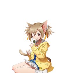 Rule 34 | 1girl, animal ears, brown eyes, brown hair, cat ears, cat tail, collarbone, dango, eating, food, hair between eyes, holding, holding food, jewelry, long hair, necklace, shiny skin, short twintails, silica, silica (sao-alo), sitting, socks, solo, sweater, sword art online, tail, transparent background, twintails, wagashi, white socks, yellow sweater