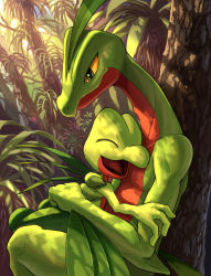 Rule 34 | claws, closed mouth, commentary request, creatures (company), day, evolutionary line, game freak, gen 3 pokemon, green eyes, grovyle, happy, highres, hug, karamimame, light rays, looking at another, nintendo, no humans, open mouth, outdoors, pokemon, pokemon (creature), shadow, tongue, tree, treecko, yellow eyes
