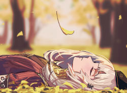 Rule 34 | 1girl, arknights, bad id, bad pixiv id, black headwear, blurry, blurry background, closed eyes, commentary, falling leaves, ginkgo tree, hair ornament, highres, leaf, lying, medium hair, official alternate costume, on back, on ground, outdoors, parted lips, ptilopsis (arknights), ptilopsis (serenity) (arknights), purple sweater, rhodes island logo (arknights), silver hair, solo, sweater, symbol-only commentary, tree, upper body, x hair ornament, zy (zyyyyyyy9)