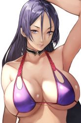 Rule 34 | 1girl, absurdres, arm at side, arm up, armpit crease, armpits, bare shoulders, bikini, black choker, breasts, choker, closed mouth, collarbone, commentary, expressionless, fate/grand order, fate (series), hair between eyes, halterneck, highres, large breasts, lips, long hair, looking at viewer, minamoto no raikou (fate), minamoto no raikou (fate/grand order), minamoto no raikou (swimsuit lancer) (fate), purple bikini, purple eyes, purple hair, shiny clothes, simple background, solo, swimsuit, upper body, v-shaped eyebrows, white background, yoshio (55level)
