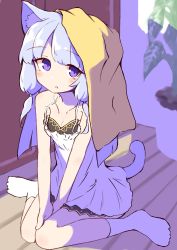 Rule 34 | 1girl, animal ear fluff, animal ears, bare arms, bare shoulders, breasts, cat ears, cat girl, cat tail, cleavage, collarbone, dress, full body, highres, ichi (ichi.colors), indoors, long hair, looking at viewer, no shoes, on floor, original, plant, potted plant, purple eyes, silver hair, sitting, sleeveless, sleeveless dress, small breasts, socks, solo, tail, wariza, white dress, white socks, wooden floor