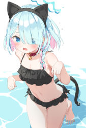 Rule 34 | 1girl, animal ears, arona (blue archive), bare arms, bare shoulders, barefoot, bell, belt collar, bikini, black bikini, black hairband, blue archive, blue eyes, blue hair, blush, braid, cat ears, cat tail, collar, commentary request, fake animal ears, frilled bikini, frills, hair over one eye, hairband, highres, jingle bell, kani biimu, light blue hair, looking at viewer, multicolored hair, navel, neck bell, open mouth, paw pose, pink hair, red collar, side braid, single braid, solo, swimsuit, tail, two-tone hair, water