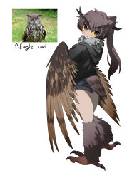 Rule 34 | 1girl, absurdres, bird legs, bird tail, black eyes, black hoodie, brown feathers, brown hair, brown wings, colored sclera, commentary, feathered wings, feathers, gomulgong, harpy, highres, hood, hood down, hoodie, light blush, long hair, looking at viewer, looking back, monster girl, neck ruff, original, personification, ponytail, reference inset, shorts, simple background, solo, tail, talons, white background, winged arms, wings, yellow sclera