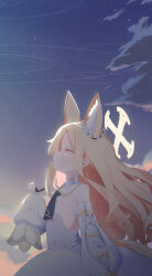 Rule 34 | 1girl, absurdres, animal, animal ear fluff, animal ears, ascot, bird, blonde hair, blue archive, blue ascot, cloud, detached sleeves, dress, flat chest, halo, highres, nemoga, night, night sky, outdoors, pink eyes, profile, seia (blue archive), sky, sleeves past fingers, sleeves past wrists, solo, star (sky), starry sky, white dress, white sleeves, yellow halo