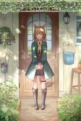 Rule 34 | 1girl, absurdres, animal ears, arknights, belt, belt buckle, black footwear, boots, bow, brown hair, bucket, buckle, choker, curtains, dappled sunlight, door, eyes visible through hair, flower, garden, garter straps, green eyes, green jacket, highres, holding, holster, jacket, lamp, light, light smile, long hair, long sleeves, looking afar, looking at viewer, parted lips, plant, podenco (arknights), pot, potted plant, reflection, shirt, simple background, single garter strap, solo, standing, stool, sunlight, tail, uzurako, white shirt, window, yellow bow, zipper legwear