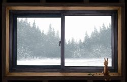 Rule 34 | bare tree, berry, closed eyes, doll, forest, gensuke (ryun), highres, leaf, looking outside, nature, no humans, original, rabbit, scenery, sky, smile, snow, snowing, still life, through window, tree