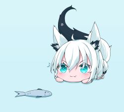 Rule 34 | 1girl, :3, absurdres, ahoge, all fours, animal ear fluff, animal ears, blue background, blush, commentary request, fang, fish, fox ears, fox girl, fox tail, green eyes, hair between eyes, highres, hololive, ikamoworkshop, long hair, looking at viewer, lying, notice lines, on stomach, pentagram, shirakami fubuki, sidelocks, simple background, solo, tail, v-shaped eyebrows, virtual youtuber, white hair