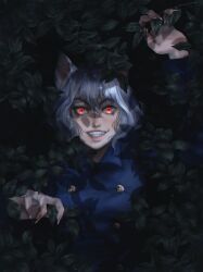 Rule 34 | 1other, absurdres, androgynous, animal ears, blue shirt, cat ears, chimera ant, collared shirt, fingernails, highres, hunter x hunter, long sleeves, looking at viewer, neferpitou, other focus, raviollies, red eyes, sharp fingernails, shirt, short hair, smile, solo, upper body, white hair