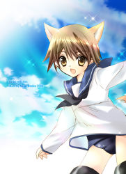 Rule 34 | 1girl, animal ears, bad id, bad pixiv id, brown eyes, brown hair, cat ears, cat girl, cat tail, female focus, koge donbo, military, military uniform, miyafuji yoshika, no pants, one-piece swimsuit, outdoors, school swimsuit, school uniform, sky, solo, strike witches, striker unit, swimsuit, swimsuit under clothes, tail, uniform, world witches series