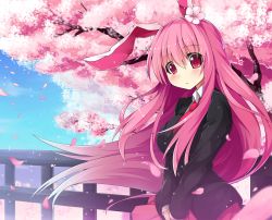 Rule 34 | 1girl, :c, animal ears, blue sky, blush, breasts, rabbit ears, cherry blossoms, day, fence, flower, frown, hair flower, hair ornament, hototogisu (hot to gis), impossible clothes, jacket, large breasts, long hair, looking at viewer, necktie, petals, pink eyes, pink hair, reisen udongein inaba, shirt, skirt, sky, solo, touhou, tree, v arms, very long hair, wind