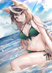 Rule 34 | 1girl, absurdres, animal ears, bare arms, bare shoulders, bikini, blue sky, blush, breasts, brown hair, cleavage, cloud, commentary request, day, dutch angle, front-tie bikini top, front-tie top, green bikini, highres, horse ears, horse girl, horse tail, large breasts, long hair, looking at viewer, narusawa (njzc2582), navel, ocean, outdoors, purple eyes, revision, side-tie bikini bottom, sitting, sky, smile, solo, stomach, swimsuit, symboli rudolf (umamusume), tail, thighs, umamusume, very long hair, water