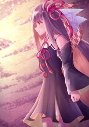 Rule 34 | 1girl, bare shoulders, black dress, blush, closed mouth, cloud, collared dress, commentary request, detached sleeves, dress, hair ornament, highres, kotonoha akane, long hair, long sleeves, looking away, mimikaki (men bow), profile, purple hair, red eyes, sleeves past wrists, smile, solo, standing, very long hair, voiceroid, wide sleeves, yagasuri