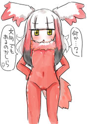 Rule 34 | 10s, 1girl, bad id, bad nicoseiga id, bird girl, bird tail, black hair, blunt bangs, bodystocking, commentary request, feet out of frame, flat chest, fur collar, furrowed brow, hands on own hips, head wings, japanese crested ibis (kemono friends), kemono friends, long hair, looking at viewer, multicolored hair, no nose, open mouth, petite, red hair, sidelocks, simple background, sketch, solo, speech bubble, standing, tail, thigh gap, translation request, triangle mouth, v-shaped eyebrows, white background, white hair, wings, yellow eyes