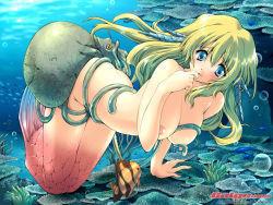 Rule 34 | 1girl, 2006, animal, ass, bent over, bestiality, blonde hair, blue eyes, blush, breasts, completely nude, finger to mouth, fish, galge.com, large breasts, long hair, looking away, mermaid, mizunezumi, monster girl, nipples, nude, octopus, smile, solo, tentacles, underwater