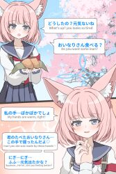 Rule 34 | animal ears, armband, blue archive, blue eyes, blush, cherry blossoms, comic, commentary request, food, fox ears, highres, holding hands, inarizushi, medium hair, mixed-language text, niko (blue archive), open mouth, pink hair, pov, pov hands, school uniform, sensei (blue archive), sushi, tififox, tree, twitter username