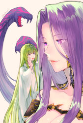 Rule 34 | 1girl, 1other, breasts, cleavage, enkidu (fate), fate/grand order, fate (series), giant, giantess, gorgon (fate), green hair, hand up, highres, kingu (fate), large breasts, long hair, long sleeves, looking at another, medusa (fate), nuso, open mouth, parted bangs, purple hair, rider, robe, scales, simple background, size difference, smile, snake hair, twitter username, very long hair, white background, white robe, wide sleeves