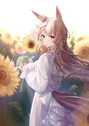 Rule 34 | 1girl, animal ears, back bow, bow, brown eyes, brown hair, clothing cutout, dress, ear ornament, elanore, field, flower, flower field, frilled dress, frills, half updo, horse ears, horse girl, horse tail, long hair, long sleeves, looking at viewer, looking back, satono diamond (umamusume), simple background, solo, sunflower, sunflower field, tail, tail through clothes, umamusume, very long hair, white dress