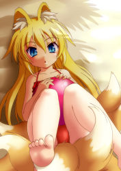 Rule 34 | 1girl, :o, akaboshi no kyuubiko, animal ear fluff, animal ears, ball, bare legs, bare shoulders, barefoot, beach, beachball, bikini, blonde hair, blue eyes, breasts, child, crotch, feet, flat chest, foot focus, foreshortening, fox ears, fox tail, frilled bikini, frills, from above, hair between eyes, holding, kitsune, kyuubi, kyuubiko (lord of walkure), legs, legs up, long hair, long toenails, looking at viewer, lord of valkyrie, lord of walkure, lying, multiple tails, nonta, on back, on ground, open mouth, outdoors, palm tree, red bikini, shade, slit pupils, soles, solo, surprised, swimsuit, tail, toenails, toes, tree
