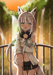 Rule 34 | 1girl, absurdres, ahoge, animal ear fluff, animal ears, black shorts, blue neckerchief, blush, braid, breasts, collarbone, commentary request, crying, detached sleeves, dusk, forest, fox ears, fox girl, fox tail, green eyes, hair between eyes, hand on hand, hand on own chest, highres, hololive, hood, hoodie, light particles, long hair, looking at viewer, midriff, natsuki (digretking), nature, navel, neckerchief, open mouth, outdoors, outstretched arm, pov, pov hands, railing, rainbow, shirakami fubuki, shirakami fubuki (1st costume), short shorts, shorts, sidelocks, single braid, small breasts, solo, tail, virtual youtuber, water, waterfall, white hair, white hoodie