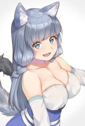 Rule 34 | :d, animal ear fluff, animal ears, aqua eyes, bare shoulders, blunt bangs, braid, breasts, cleavage, collarbone, dress, elbow gloves, fang, from side, gloves, grey hair, hataage! kemono michi, highres, imori (lizzy), large breasts, long hair, looking up, off-shoulder dress, off shoulder, open mouth, shigure (kemonomichi), simple background, sleeveless, sleeveless dress, smile, tail, upper body, white background, white gloves, wolf ears, wolf tail
