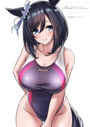 Rule 34 | alternate costume, animal ears, black hair, blue eyes, blush, breasts, cleavage, closed mouth, collarbone, commentary request, competition swimsuit, eishin flash (umamusume), hair between eyes, hair ornament, herohero (higashi no dou), highres, horse ears, horse tail, large breasts, looking at viewer, one-piece swimsuit, simple background, smile, swimsuit, tail, translation request, umamusume, white background