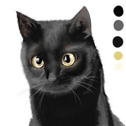 Rule 34 | animal, animal ear fluff, animal focus, black cat, cat, color guide, commentary request, highres, kuro kosyou, looking at viewer, no humans, original, simple background, upper body, white background, yellow eyes