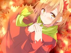 Rule 34 | 1girl, aki shizuha, autumn leaves, blonde hair, blush, dress, from above, gradient dress, green scarf, hair between eyes, hair ornament, head tilt, hemogurobin a1c, leaf, leaf background, leaf hair ornament, leaf print, light smile, looking at viewer, maple leaf, own hands together, red eyes, scarf, short hair, solo, touhou, yellow eyes