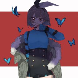 Rule 34 | 1girl, arm belt, black ribbon, black shorts, blue butterfly, blue shirt, brown eyes, bug, butterfly, coat, covering own mouth, cowboy shot, earrings, fur-trimmed coat, fur trim, grey hair, hair ribbon, high-waist shorts, highres, insect, jewelry, long sleeves, looking at viewer, machi (wm), nail polish, original, red background, red nails, ribbon, shade, shirt, short hair, short shorts, shorts, sleeves past wrists, solo, two-tone ribbon, white ribbon
