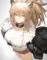 Rule 34 | 1girl, arknights, black collar, black jacket, breasts, brown hair, cleavage, collar, collarbone, cowboy shot, fur-trimmed jacket, fur-trimmed shorts, fur trim, gnai, grey background, hair between eyes, highres, jacket, large breasts, looking at viewer, open clothes, open jacket, parted lips, ponytail, red shorts, shirt, shorts, siege (arknights), simple background, solo, studded collar, white shirt, yellow eyes