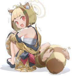 Rule 34 | 1girl, 1other, @ @, animal ears, arata (blue archive), blonde hair, blue archive, blush, brown hair, chest sarashi, disembodied hand, hair ornament, hairclip, halo, highres, hoshi umi, japanese clothes, kimono, multicolored hair, open mouth, raccoon ears, raccoon tail, red eyes, sandals, sarashi, short eyebrows, short hair, simple background, tail, white background, yellow halo, yellow kimono, zouri