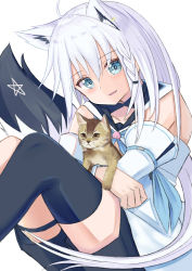 Rule 34 | 1girl, absurdres, ahoge, animal, animal ear fluff, animal ears, animal hug, bare shoulders, black shorts, black thighhighs, blue eyes, braid, cat, collarbone, commentary request, ear piercing, fang, feet out of frame, fox ears, fox girl, fox tail, hair between eyes, highres, hololive, knees up, long hair, looking at viewer, natsuki (natukituki), piercing, shirakami fubuki, shirakami fubuki (1st costume), short shorts, shorts, simple background, single thighhigh, smile, solo, tail, thighhighs, very long hair, virtual youtuber, white background, white hair