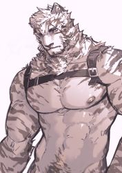 Rule 34 | 1boy, absurdres, animal ears, arknights, bara, closed mouth, completely nude, furry, furry male, highres, male focus, male pubic hair, mountain (arknights), muscular, muscular male, navel, nipples, nude, pubic hair, scar, scar on face, simple background, sketch, slit pupils, solo, tiger, white background, white tiger, wushier