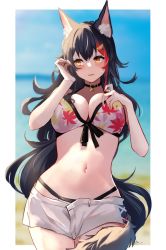 Rule 34 | 1girl, animal ear fluff, animal ears, bikini, bikini under clothes, black hair, blush, breasts, cleavage, hair between eyes, hair ornament, hairclip, highres, hololive, large breasts, long hair, multicolored hair, navel, ookami mio, ookami mio (hololive summer 2019), open mouth, red hair, short shorts, shorts, solo, streaked hair, swimsuit, tail, tail around own leg, tail wrap, tako 8 yaki, virtual youtuber, wolf ears, wolf girl, wolf tail, yellow eyes