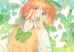 Rule 34 | 1girl, blue eyes, bow, bowtie, clover, collared shirt, covering own mouth, four-leaf clover, go-toubun no hanayome, green bow, green bowtie, green ribbon, grin, hair ribbon, holding, holding clover, looking at viewer, nakano yotsuba, orange hair, poligon (046), ribbon, shirt, short hair, short sleeves, smile, solo, sweater vest, upper body, white shirt