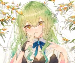Rule 34 | 1girl, absurdres, antlers, blush, braid, braided bangs, branch, breasts, ceres fauna, cleavage, dress, earrings, flower, green hair, green nails, hair flower, hair ornament, half updo, highres, hololive, hololive english, horns, jewelry, large breasts, long hair, looking at viewer, mole, mole under eye, multicolored hair, nail polish, side braid, single braid, smile, solo, tsuyuri eri, upper body, virtual youtuber, yellow eyes, yellow flower