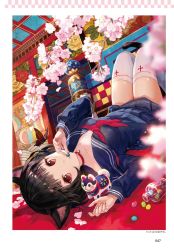 Rule 34 | 1girl, animal ears, black hair, blue serafuku, blue shirt, blue skirt, breasts, bug, butterfly, cat ears, cherry blossoms, collar, collarbone, fuzichoco, highres, indoors, insect, looking at viewer, lying, miniskirt, on back, original, page number, pleated skirt, red eyes, school uniform, serafuku, shirt, short hair, skirt, small breasts, solo, thighhighs, white thighhighs