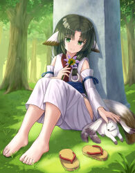 Rule 34 | 1girl, absurdres, animal ears, aruruu, bare shoulders, brown footwear, closed mouth, commission, day, detached sleeves, flower, forest, gachatara, green eyes, green hair, highres, holding, holding flower, iroha (iroha matsurika), japanese clothes, kimono, knees up, long hair, long sleeves, nature, obelisk, outdoors, parted bangs, petting, pink flower, pixiv commission, sandals, smile, solo, tree, utawarerumono, utawarerumono: itsuwari no kamen, white kimono, white sleeves, wide sleeves, zouri