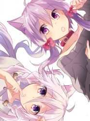 Rule 34 | 2girls, :o, ahoge, animal ears, bare shoulders, black sweater, blush, bow, braid, cat ears, collar, collarbone, commentary request, finger to mouth, hair between eyes, hair bow, hands up, highres, hood, hood down, hoodie, ia (vocaloid), long hair, low twintails, multiple girls, off-shoulder, off-shoulder sweater, off shoulder, parted lips, purple eyes, purple hair, red bow, red collar, short hair with long locks, side braid, silver hair, simple background, sweater, twin braids, twintails, vocaloid, white background, white hoodie, yuruno, yuzuki yukari