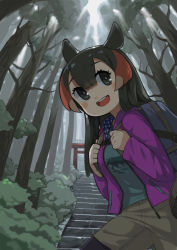 Rule 34 | 1girl, :d, alternate costume, backpack, bag, beige shorts, black eyes, black hair, black pantyhose, blue shirt, character name, clothes writing, commentary, day, forest, hair between eyes, highres, holding strap, jacket, kemono friends, pantyhose under shorts, long hair, long sleeves, looking at viewer, mountain tapir (kemono friends), nature, open mouth, outdoors, pantyhose, pink jacket, red hair, rinx, shirt, shorts, smile, solo, stairs, teeth, torii, tree, upper teeth only