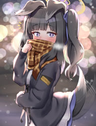 Rule 34 | 1girl, alternate costume, animal ears, black hair, black jacket, blue archive, blue ribbon, blurry, blush, bokeh, brown scarf, commentary request, depth of field, dog ears, dog girl, dog tail, dress, hair ribbon, halo, hibiki (blue archive), jacket, long hair, long sleeves, looking at viewer, multicolored hair, purple eyes, ribbon, scarf, solo, tail, tail wagging, two side up, ushimittsu, white dress, white hair