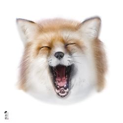 Rule 34 | :d, ^ ^, animal, animal ear fluff, animal focus, closed eyes, cropped torso, derivative work, closed eyes, facing viewer, fox, kuro kosyou, no humans, open mouth, original, simple background, smile, tongue, whiskers, white background