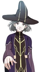 Rule 34 | 1girl, absurdres, brown hair, closed mouth, cynthia goodsky, dress, grey hair, hand up, hat, highres, long hair, looking at viewer, purple dress, shirt, solo, the beginning after the end, transparent background, white shirt, witch hat