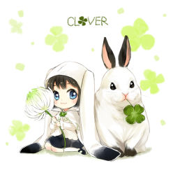 Rule 34 | 1girl, animal ears, blue eyes, brown hair, rabbit, rabbit ears, chibi, clover, clover (flower), flower, four-leaf clover, m-ca, mary janes, mca (dessert candy), original, shoes, short hair, solo