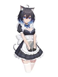 Rule 34 | 1girl, absurdres, ahoge, animal ear fluff, animal ears, apron, bell, black dress, black gloves, blue bow, blue bowtie, blue eyes, blue hair, bow, bowtie, bra, breasts, cat ears, cat girl, cat tail, cleavage, closed mouth, collar, cropped legs, dress, garter straps, gloves, hair ornament, highres, holding, holding tray, honkai (series), honkai impact 3rd, jingle bell, kemonomimi mode, large breasts, looking at viewer, medium breasts, pleated dress, seele vollerei, shenqi xiao hong zai nali, short hair, short sleeves, smile, solo, tail, thighhighs, tray, underwear, white apron, white bra, white thighhighs, x hair ornament, zettai ryouiki