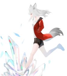 Rule 34 | 1girl, animal ears, arknights, bare shoulders, black shorts, breasts, crystal, cuo cuo yu lian, floating hair, fox ears, fox girl, fox tail, frostleaf (arknights), full body, grey hair, jacket, long hair, off shoulder, open clothes, open jacket, red eyes, running, shirt, shoes, shorts, simple background, small breasts, solo, tail, white background, white footwear, white shirt