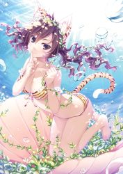 Rule 34 | 1girl, absurdres, air bubble, alpha (yukai na nakamatachi), animal ears, barefoot, bikini, breasts, breath, brown eyes, brown hair, bubble, cat ears, cat tail, clam shell, cropped, curly hair, fang, fang out, finger to mouth, floating hair, freediving, front-tie bikini top, front-tie top, highres, large breasts, light rays, long hair, looking at viewer, outdoors, scan, smile, solo, striped bikini, striped clothes, submerged, sunbeam, sunlight, swimming, swimsuit, tail, tiger ears, tiger tail, toranoana, twintails, underwater, yellow bikini