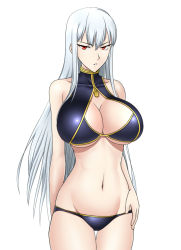 Rule 34 | 00s, 1girl, :o, albino, bare shoulders, bikini, breasts, cleavage, cleavage cutout, clothing cutout, do konjouuo, female focus, groin, hand on own hip, large breasts, long hair, navel, red eyes, selvaria bles, senjou no valkyria, senjou no valkyria (series), senjou no valkyria 1, solo, swimsuit, tyourairai, white hair