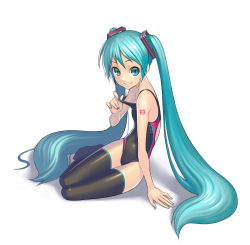 Rule 34 | (tat), 1girl, aqua eyes, aqua hair, competition swimsuit, green eyes, green hair, hatsune miku, long hair, looking at viewer, matching hair/eyes, one-piece swimsuit, sitting, smile, solo, swimsuit, thighhighs, thighs, twintails, vocaloid